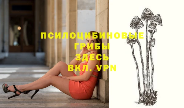 прущие грибы Красноперекопск