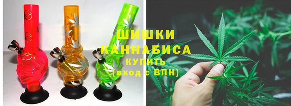 дживик Великий Новгород