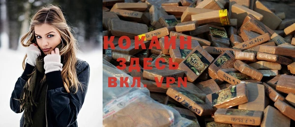 дживик Костерёво