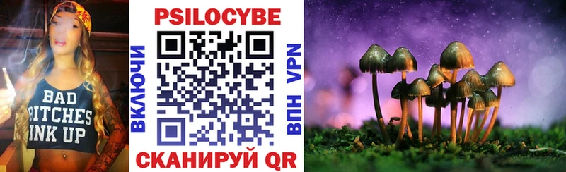 Псилоцибиновые грибы Psilocybe  Сочи 