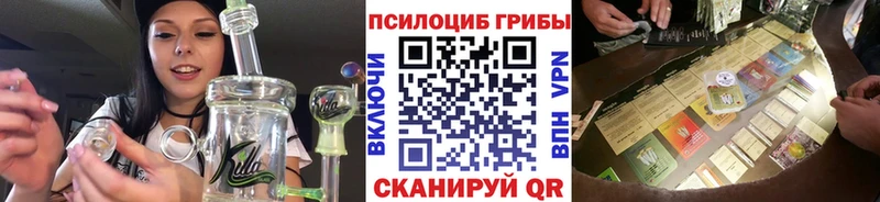 Псилоцибиновые грибы прущие грибы Сочи