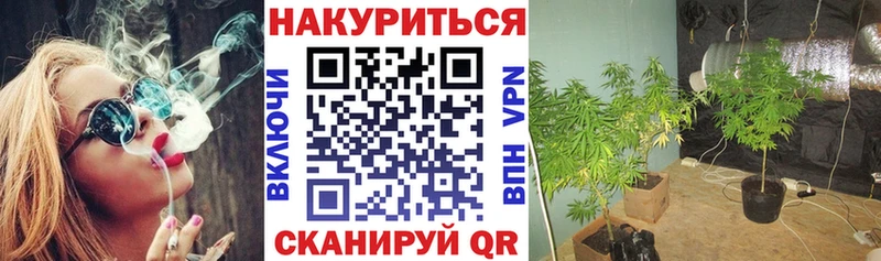 Бошки марихуана THC 21%  кракен вход  Сочи  даркнет сайт 